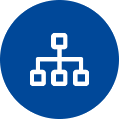 Organization and Responsibilities